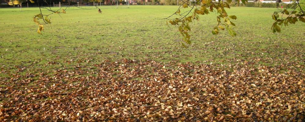 
            Фотография Ингейтстоуна