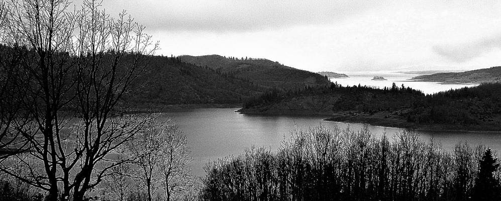 
            Фотография Моуча