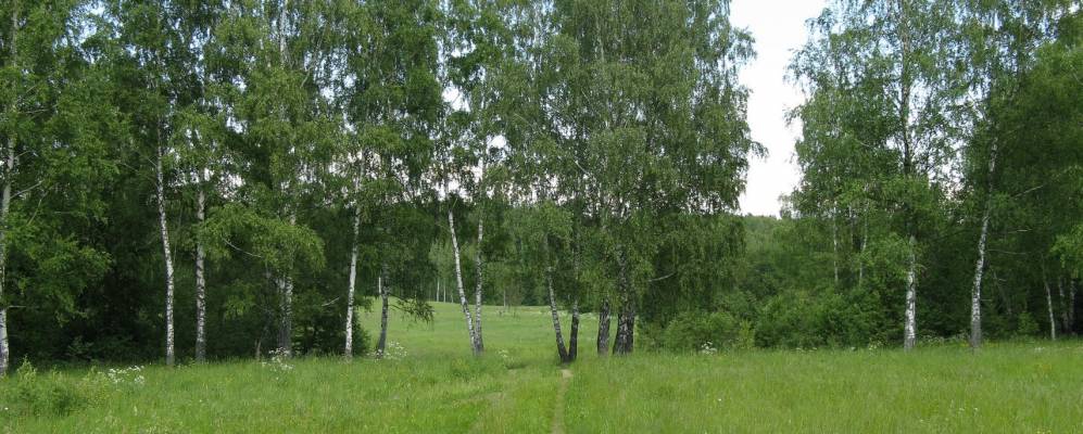 Фотография Знамово