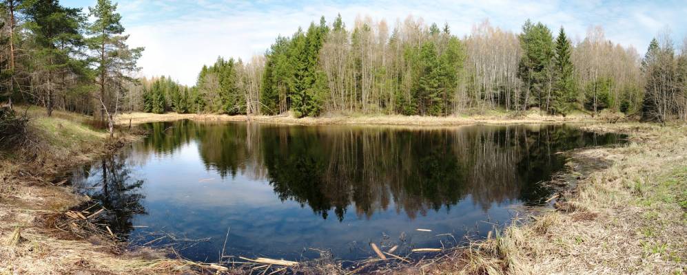 
            Фотография Поречья