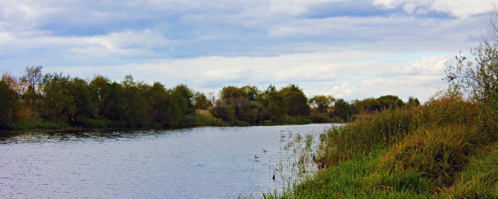 Фотография Ямника