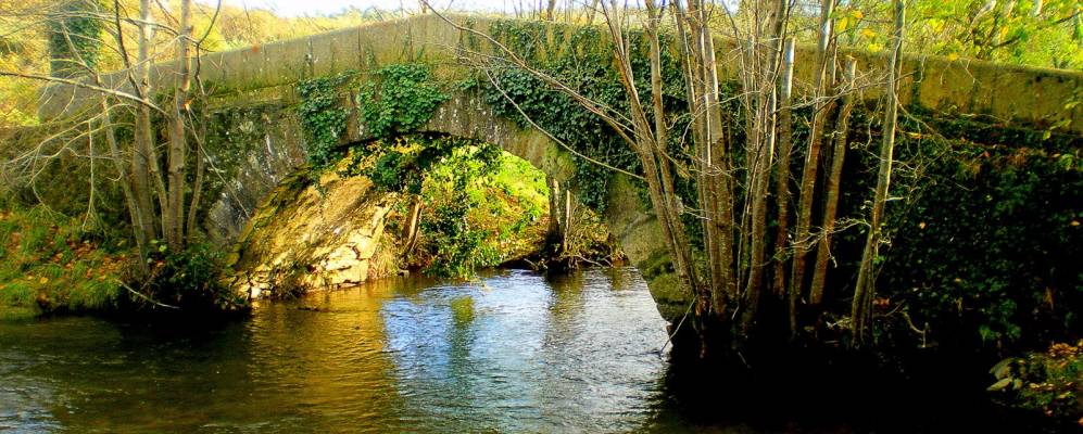 
            Фотография Арсуы