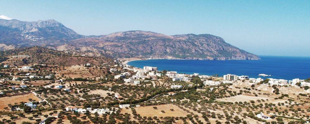 
            Фотография Амупи