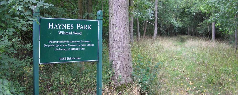 Фотография Вилшамстида