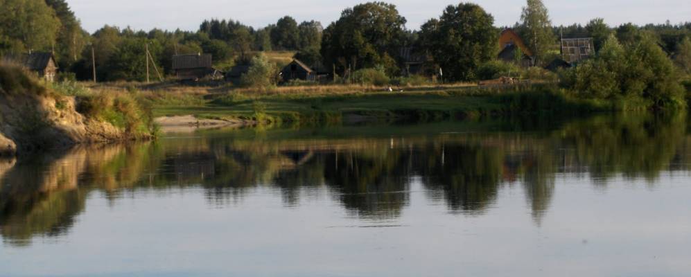 
            Фотография Цинки