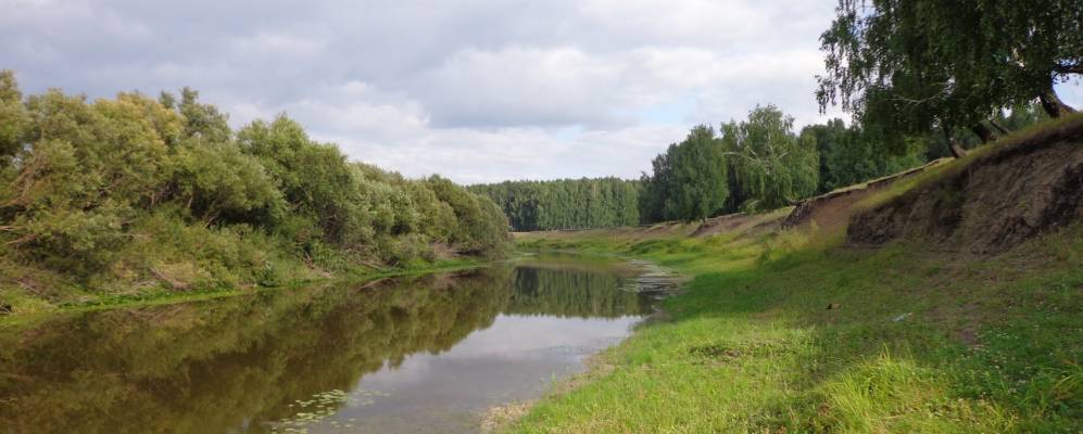 
            Фотография Горбуново