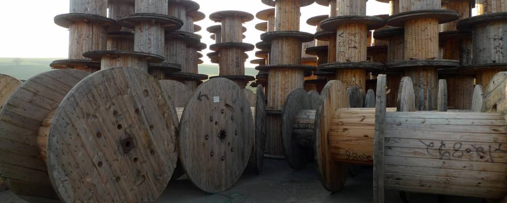 
            Фотография Тауры