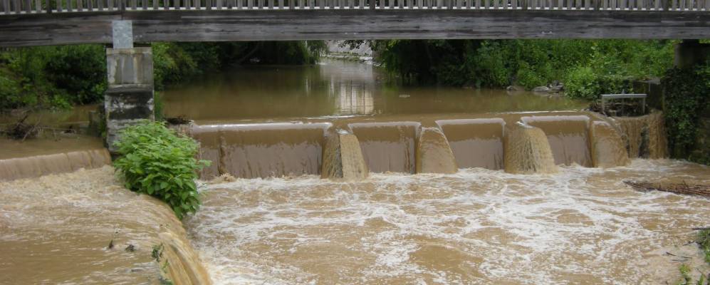 
            Фотография Солеза