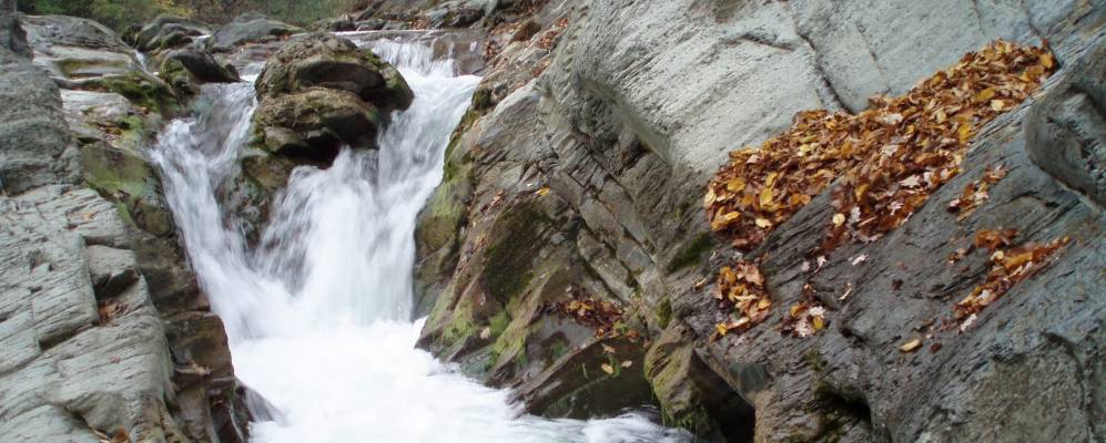 
            Фотография Шешор