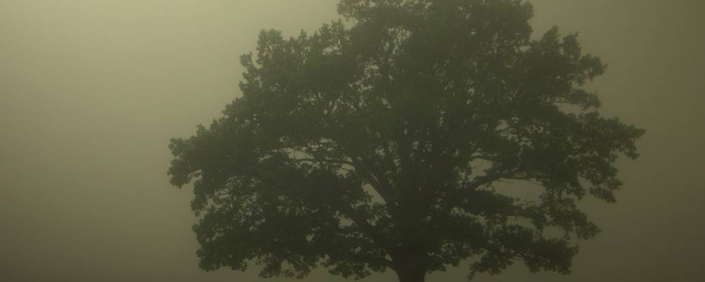 Фотография Иерики