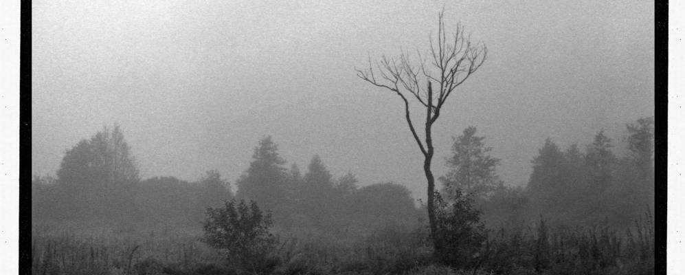 Фотография деревни Стахи