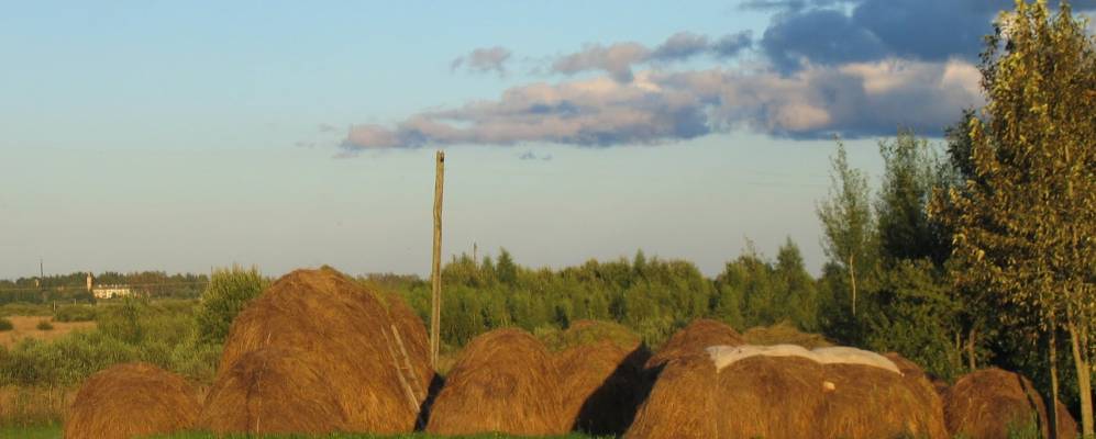 
            Фотография Сафошниково