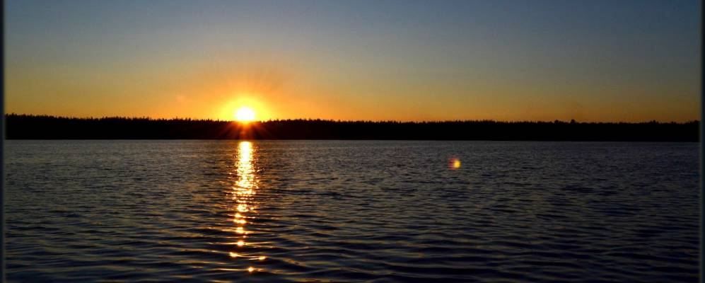 
            Фотография Гарбари