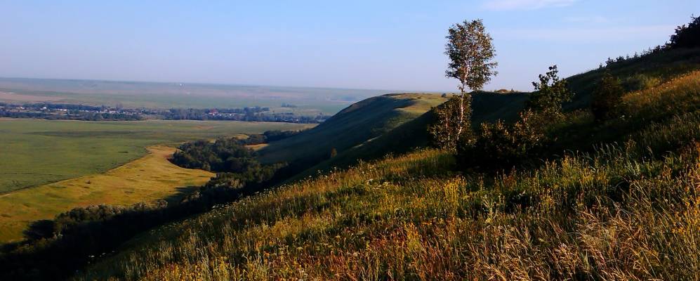 
            Фотография Онбии