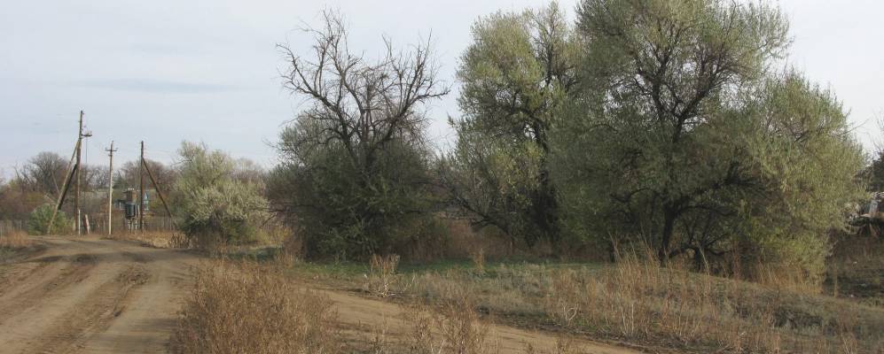 Фотография Кожзавода