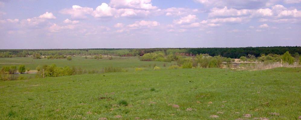 
            Фотография Жаркого