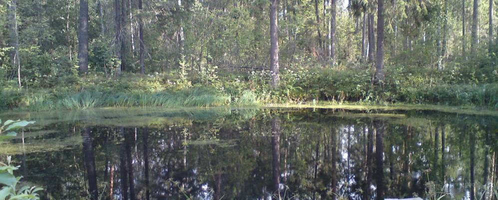 Фотография Архангельского