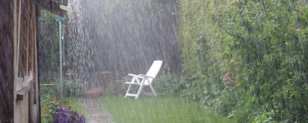 
            Фотография Дидкота