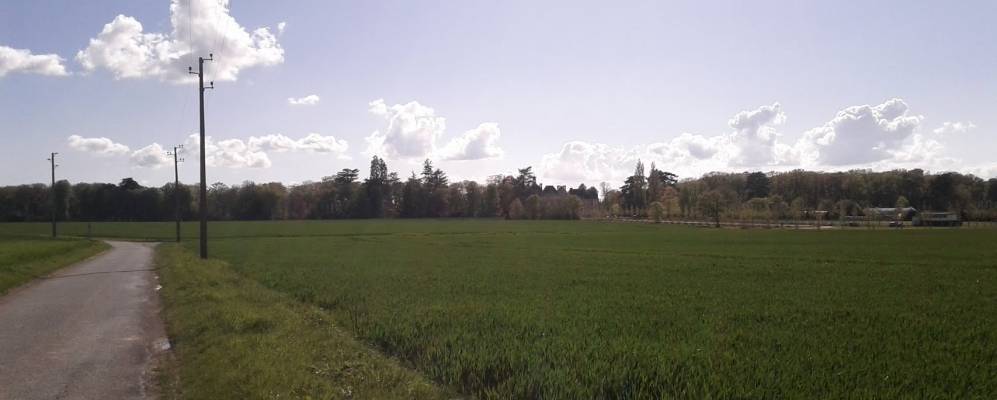 
            Фотография Соншама