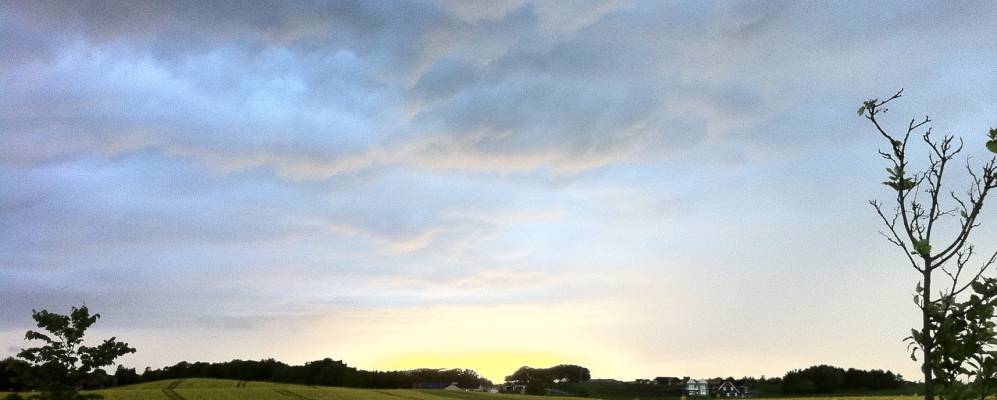 
            Фотография Ардена