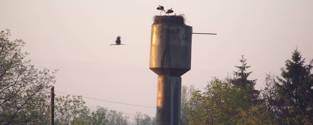 
            Фотография Нестеровцы