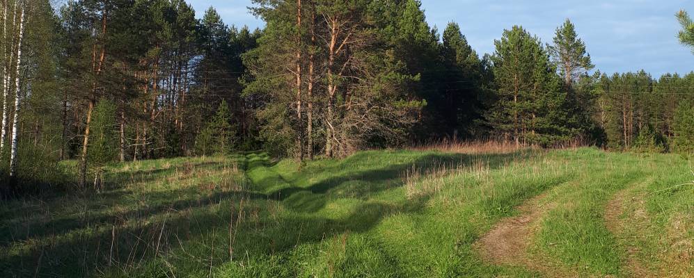 
            Фотография Овинчища