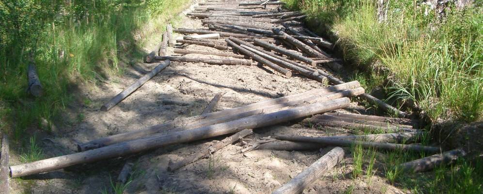 
            Фотография Поповки