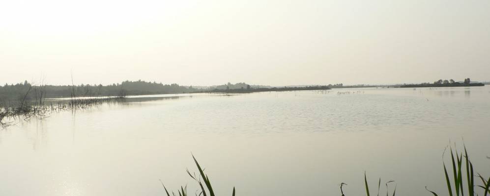 
            Фотография Залесья