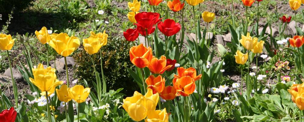 
            Фотография Княжьего Моста