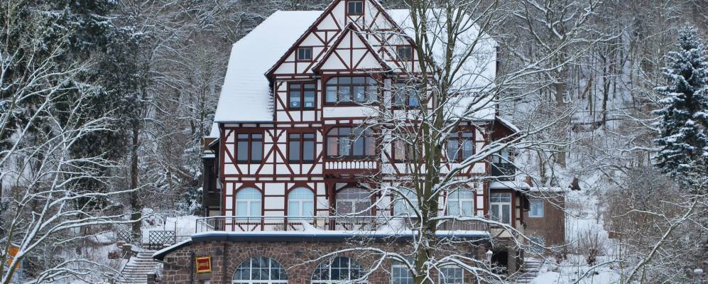 
            Фотография Франкенберга