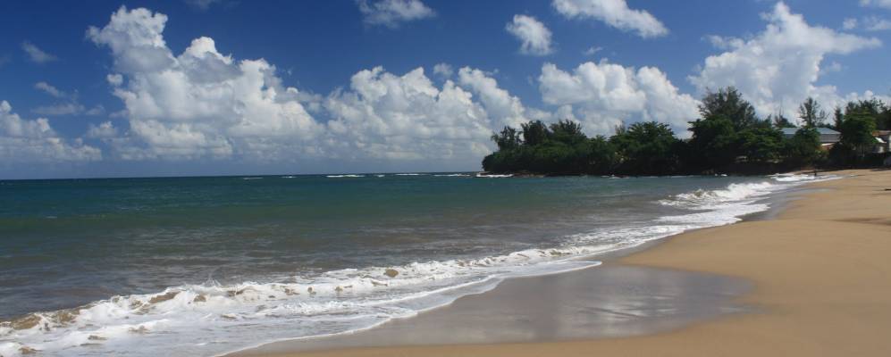 
            Фотография Атильо