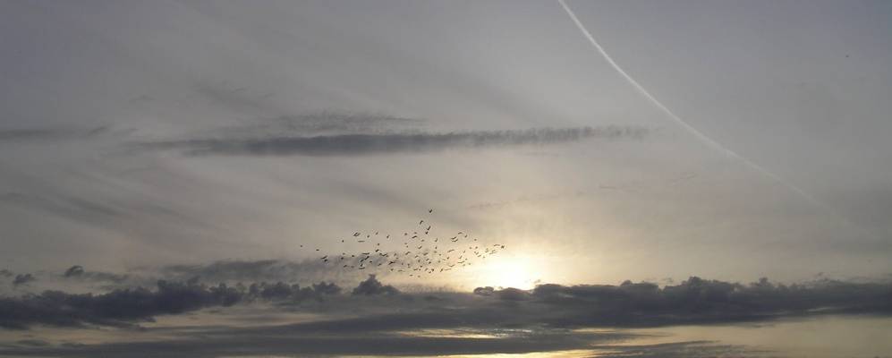 
            Фотография Чебалсу