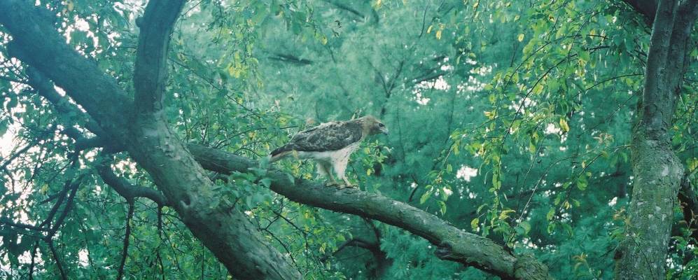
            Фотография Кларксон Вели