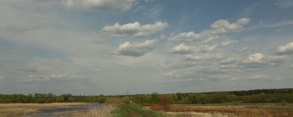 
            Фотография Воронцовки