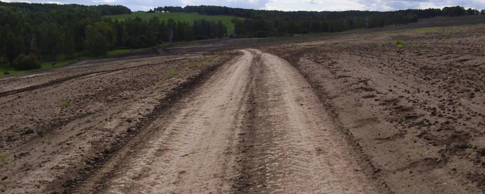 Фотография Черемшанки