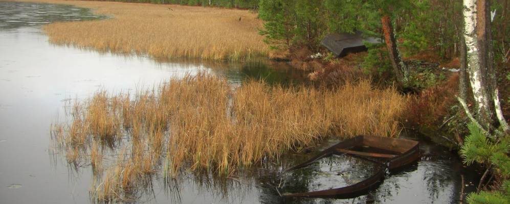 
            Фотография Крестовой