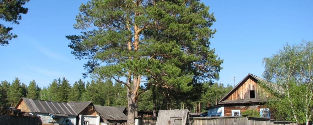 Фотография Троицка