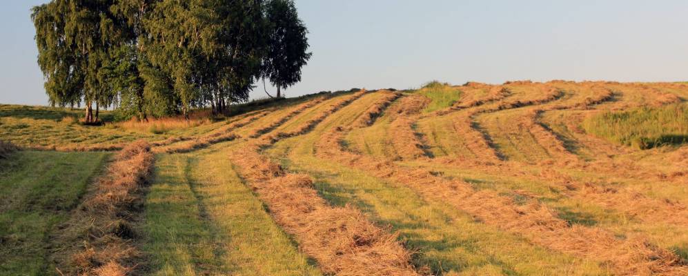 
            Фотография Дубны