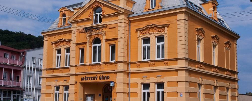 
            Фотография Дуби