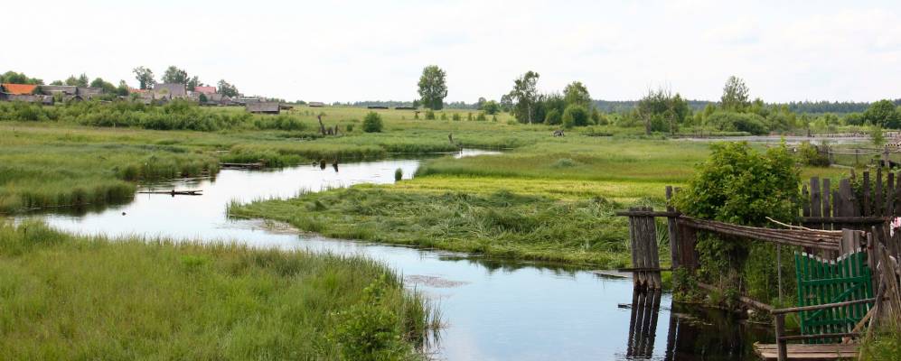 
            Фотография Василево