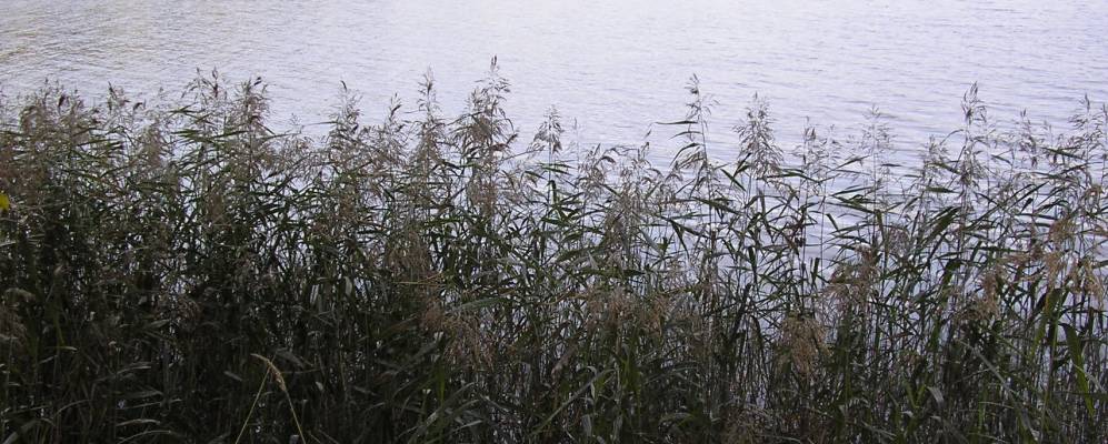 
            Фотография Лукоянки