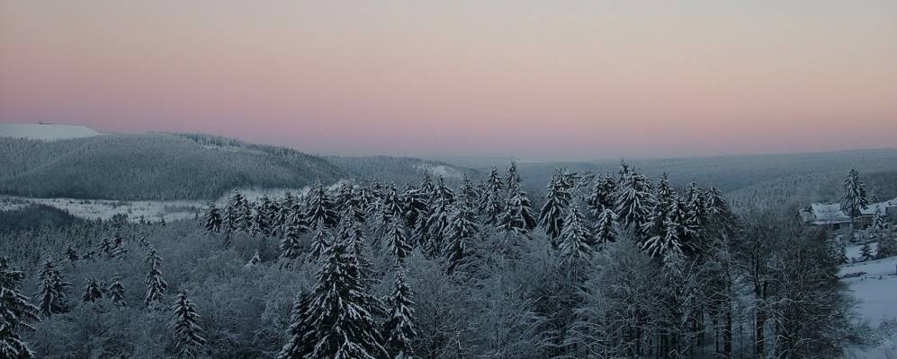 
            Фотография Массерберга