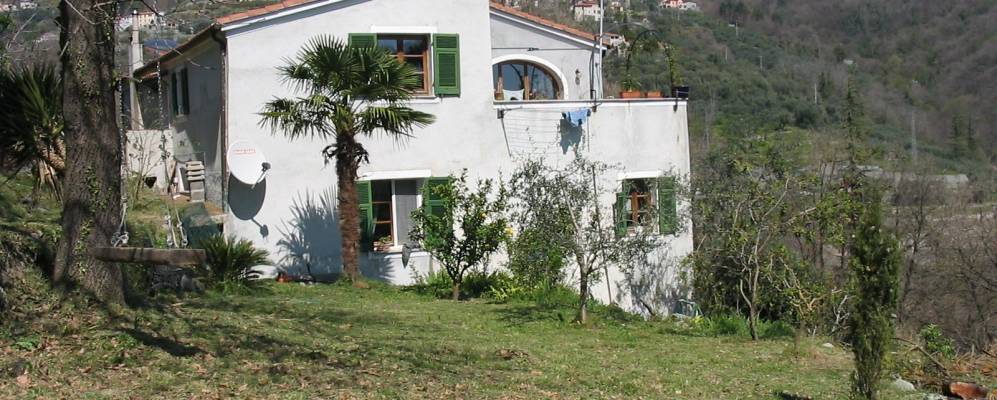 
            Фотография Карбуты