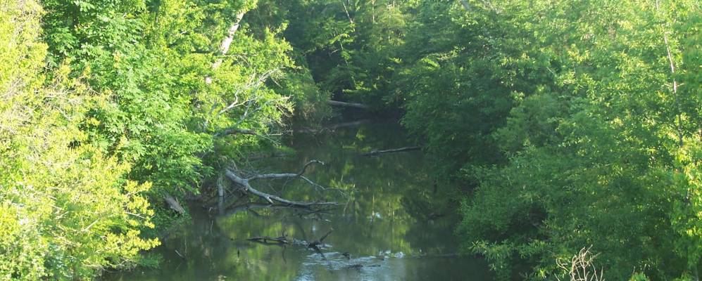 
            Фотография Гленморы