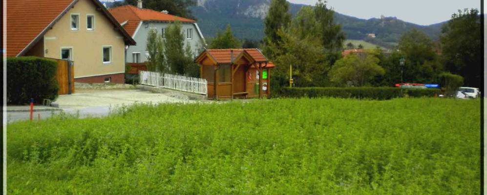 
            Фотография Винцендорфа