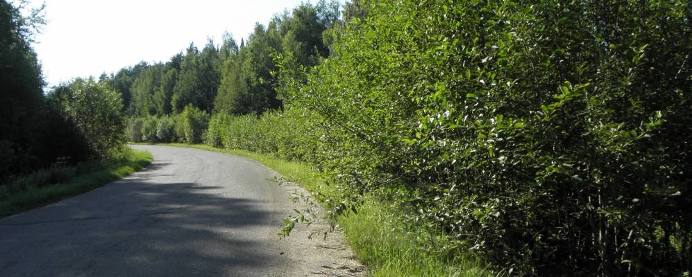 Фотография Казанских