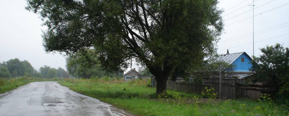 
            Фотография Богданино