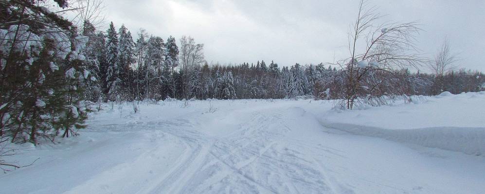 
            Фотография деревни Масляные Горочки