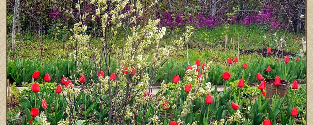 Фотография Соболевского