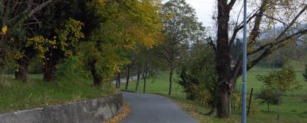 
            Фотография Куеро